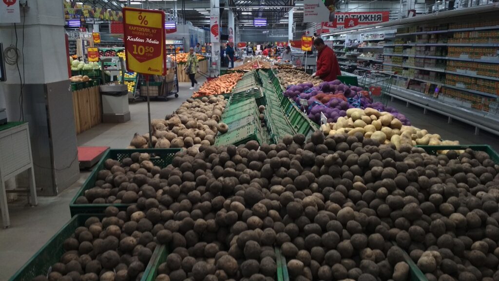 Картопля у Київській області. Фото: Kashtan Media