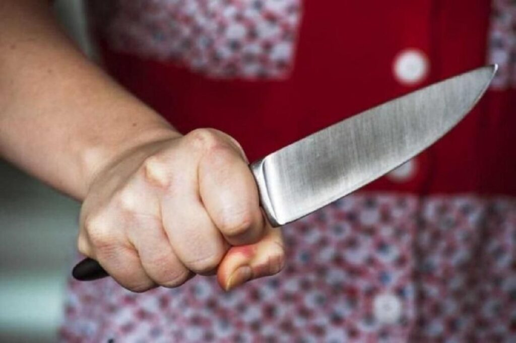 Неудачное застолье: на Русановке в Киеве женщина ударила ножом своего зятя